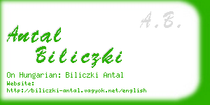 antal biliczki business card